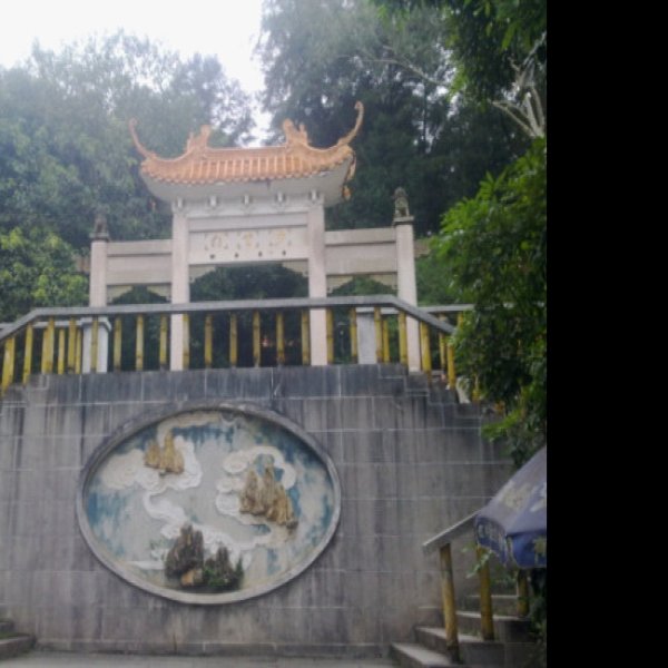 广西南宁青秀山 - 图片5
