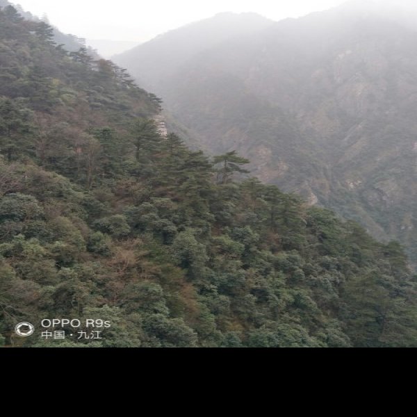 江西九江庐山 - 图片2