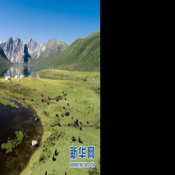 青海三江源 - 图片7