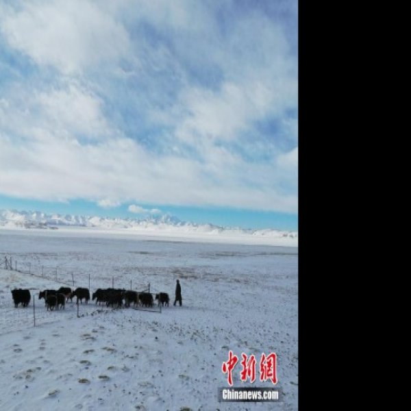 西藏纳木错 - 图片7