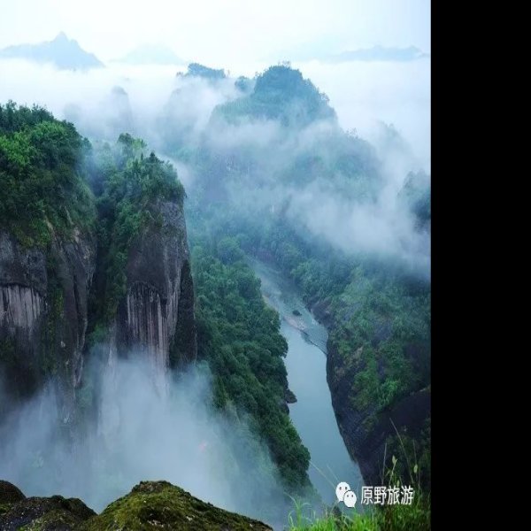 福建武夷山 - 图片8
