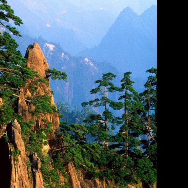 安徽黄山 - 图片2