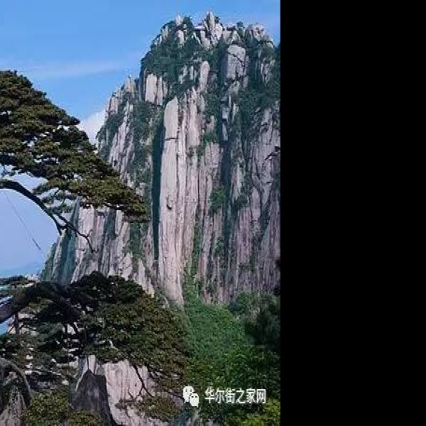 安徽黄山 - 图片3