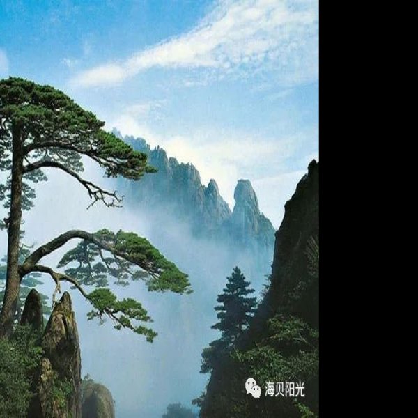 安徽黄山 - 图片4