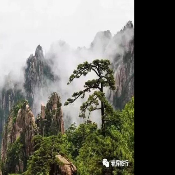 安徽黄山 - 图片6
