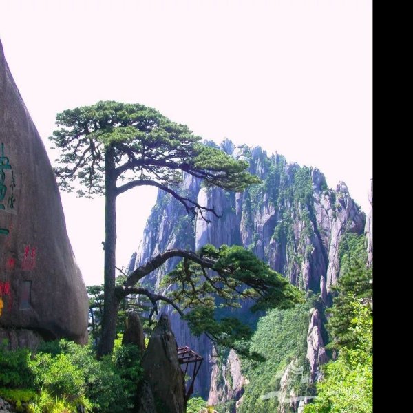安徽黄山 - 图片7