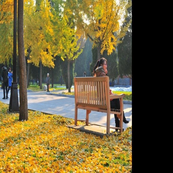 北京地坛公园 - 图片10