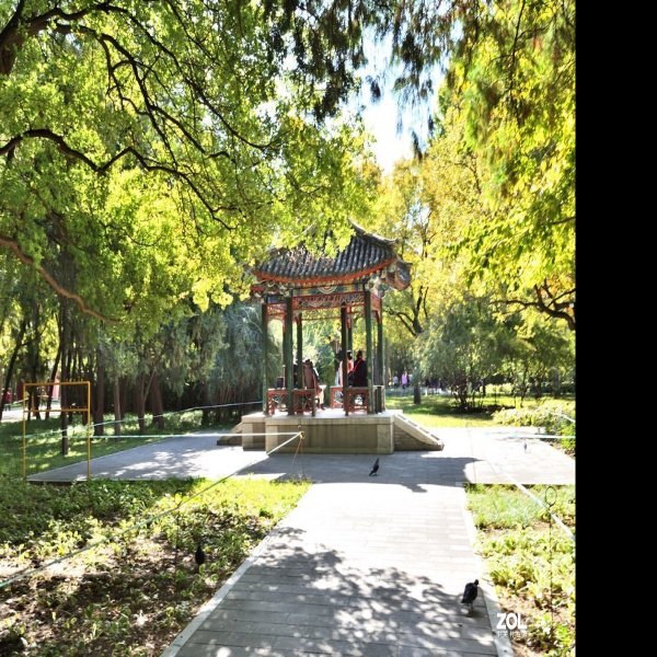 北京地坛公园 - 图片2