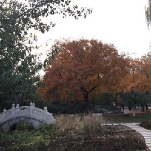北京地坛公园 - 图片3