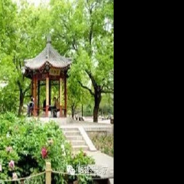 北京地坛公园 - 图片6
