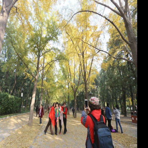 北京地坛公园 - 图片7