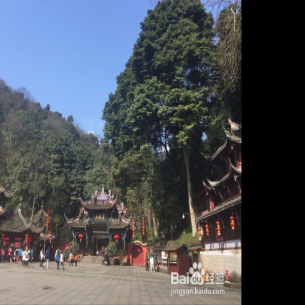 四川青城山 - 图片1
