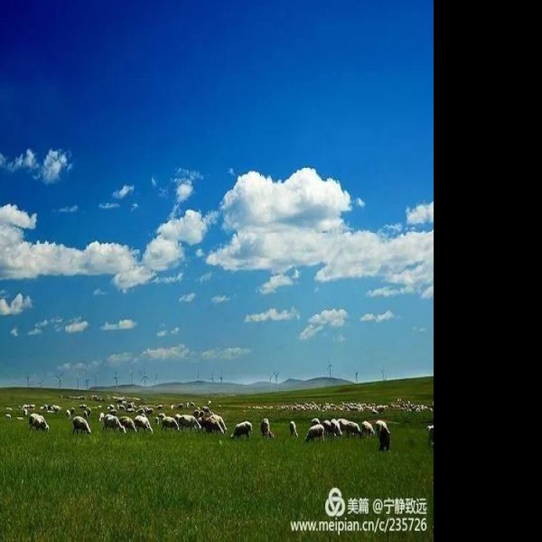 内蒙古呼伦贝尔草原 - 图片10