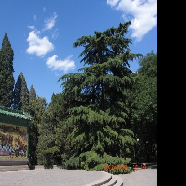北京日坛公园 - 图片1
