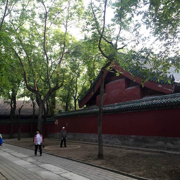 北京日坛公园 - 图片5