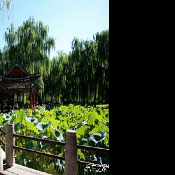 北京日坛公园 - 图片9