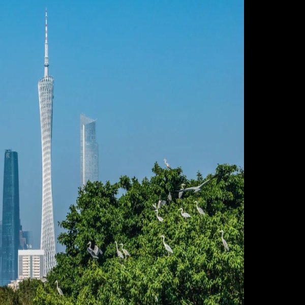 广东广州塔 - 图片7