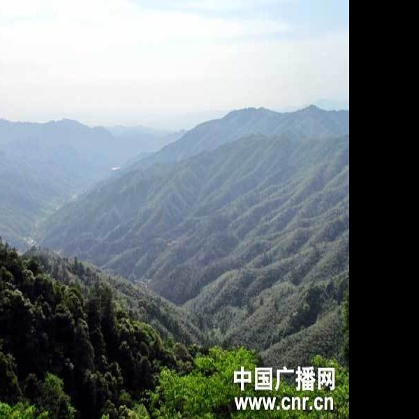 江西井冈山 - 图片5