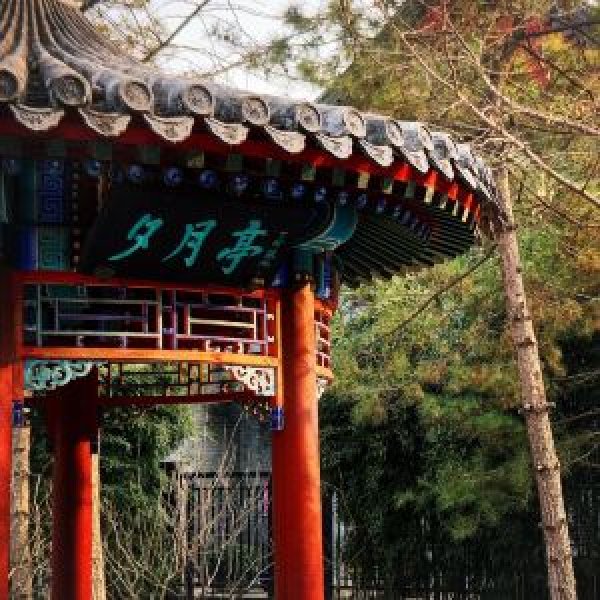 北京月坛公园 - 图片10