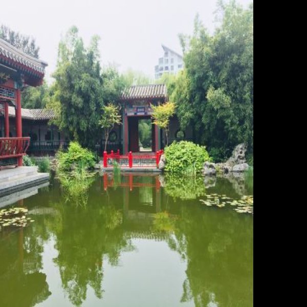 北京月坛公园 - 图片3