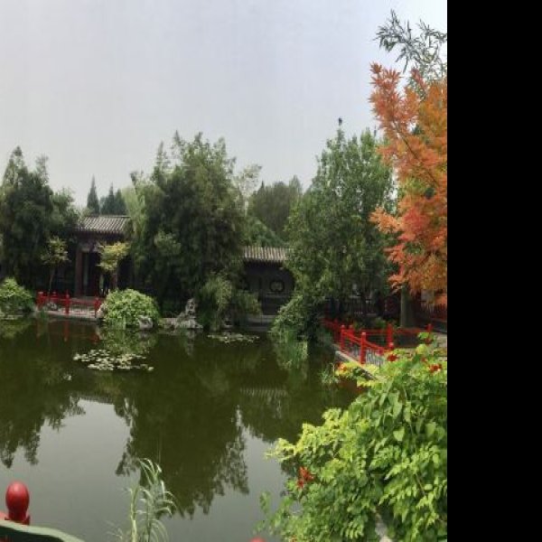北京月坛公园 - 图片4