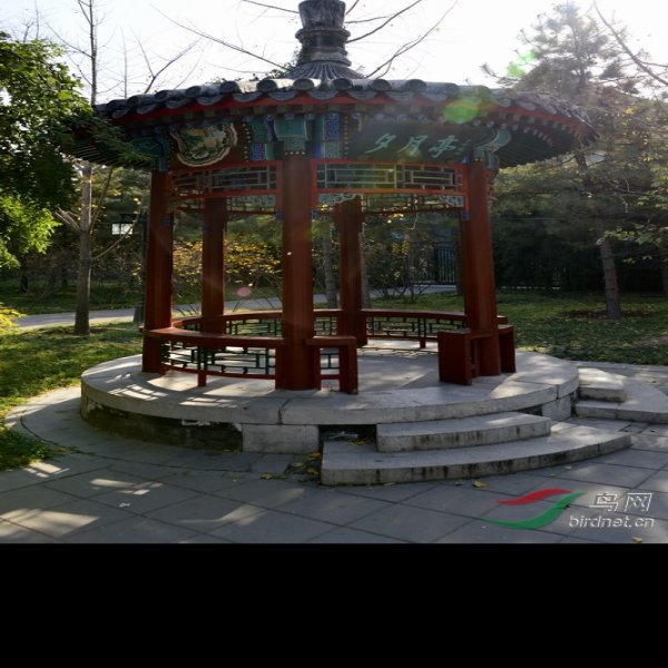 北京月坛公园 - 图片7