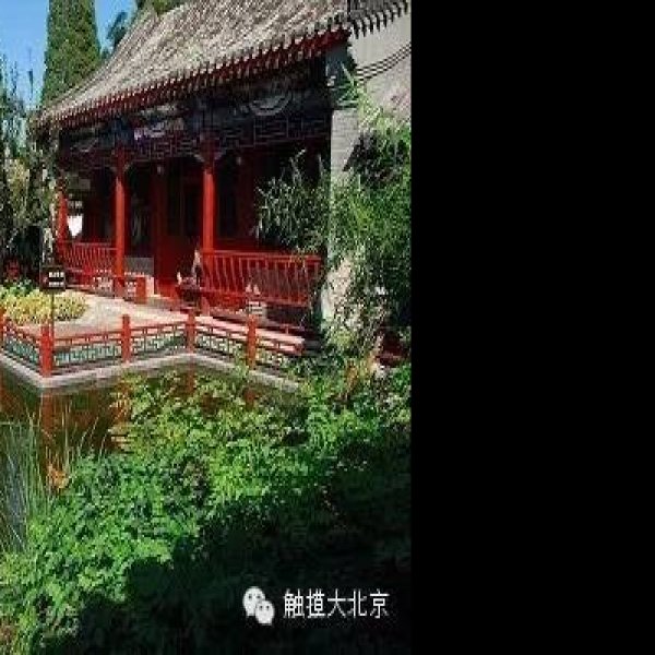 北京月坛公园 - 图片9