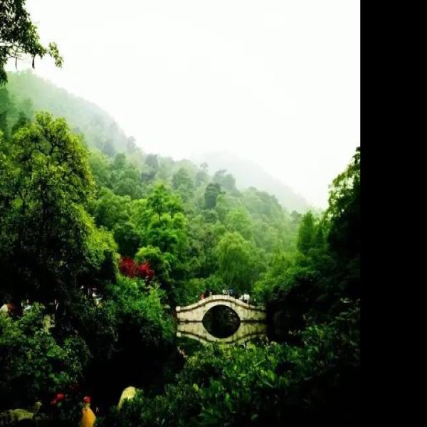 贵州贵阳黔灵山 - 图片7