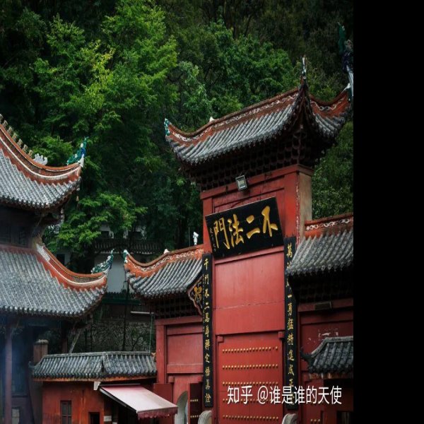 贵州贵阳黔灵山 - 图片8