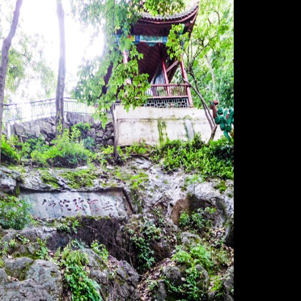 贵州贵阳黔灵山 - 图片9