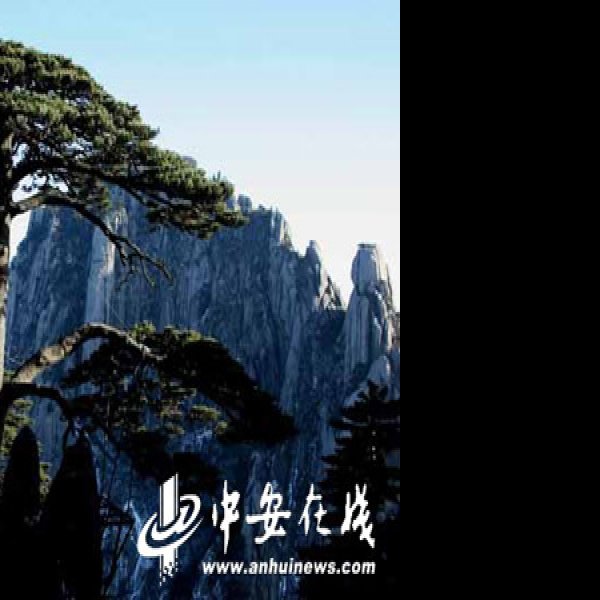安徽黄山迎客松 - 图片6