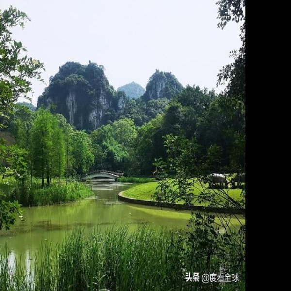 广西柳州龙潭公园 - 图片4
