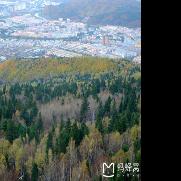 黑龙江伊春小兴安岭 - 图片3