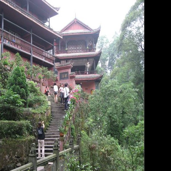 四川乐山峨眉山 - 图片5