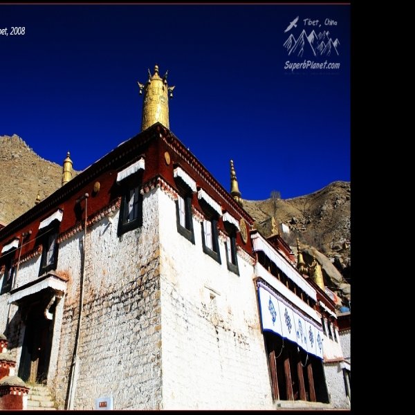 西藏色拉寺 - 图片10