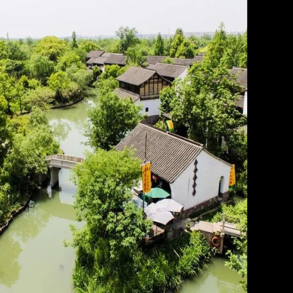 浙江杭州西溪湿地 - 图片7