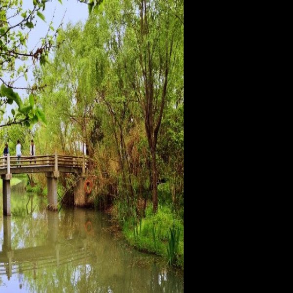 浙江杭州西溪湿地 - 图片8