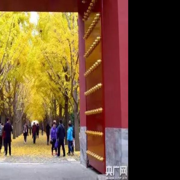 北京地坛 - 图片1