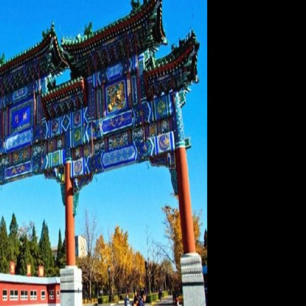 北京地坛 - 图片10
