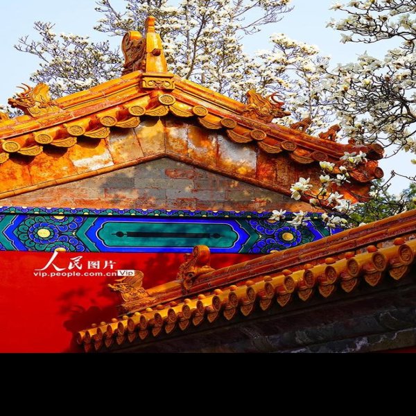北京地坛 - 图片5