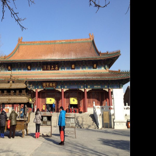 天津大悲禅院 - 图片5