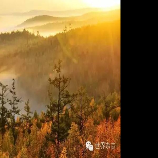黑龙江大兴安岭 - 图片2