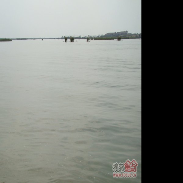 宁夏银川沙湖 - 图片3