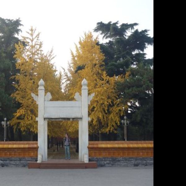 北京社稷坛 - 图片5