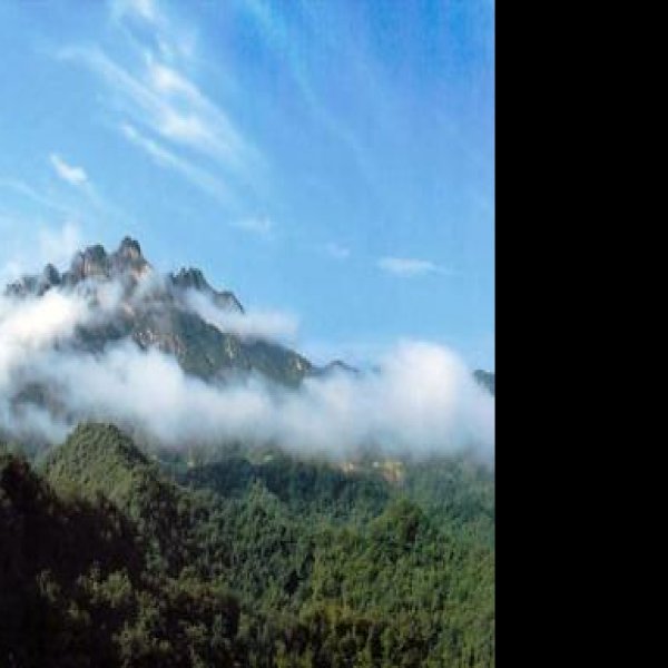 广东广州白云山 - 图片6