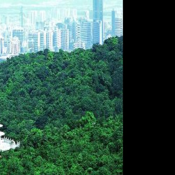 广东广州白云山 - 图片9
