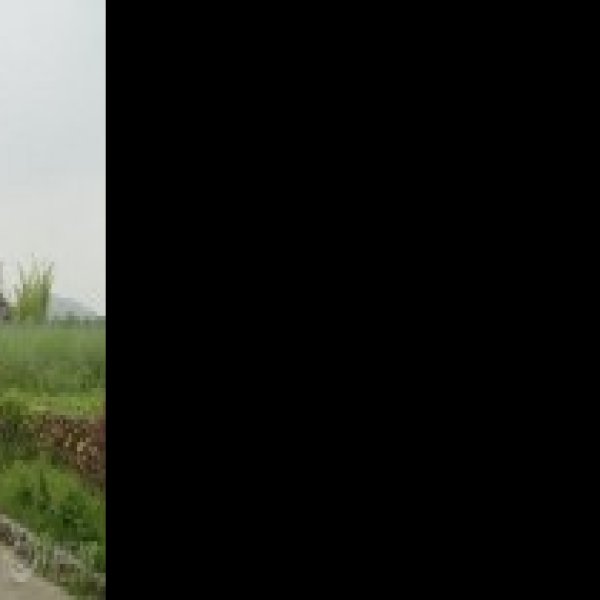 湖南衡阳南岳庙 - 图片8