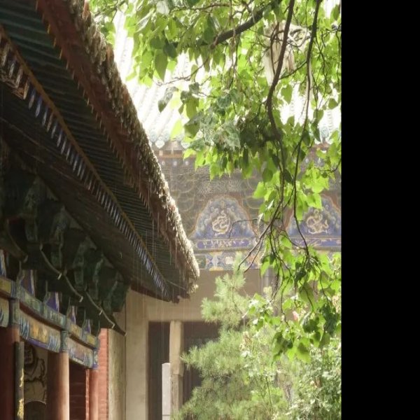 范村圆智寺 - 图片5
