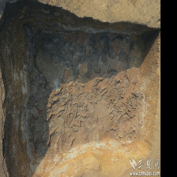 薛瑄家庙及墓地 - 图片10