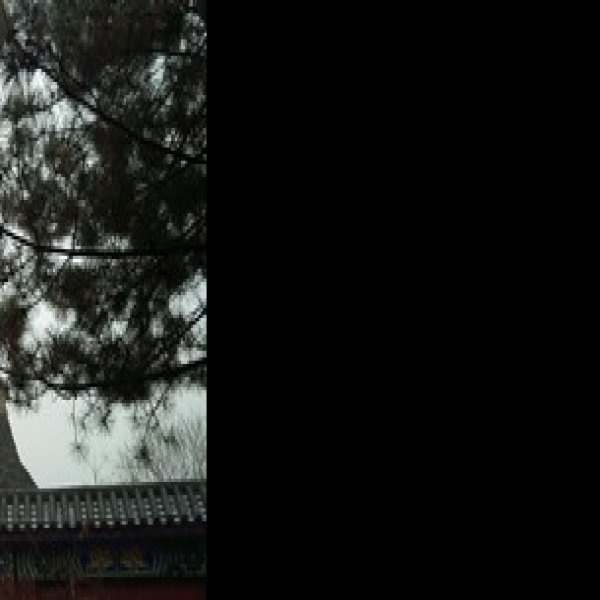 高阁寺 - 图片5